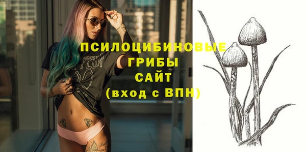 соль курить ск Арсеньев